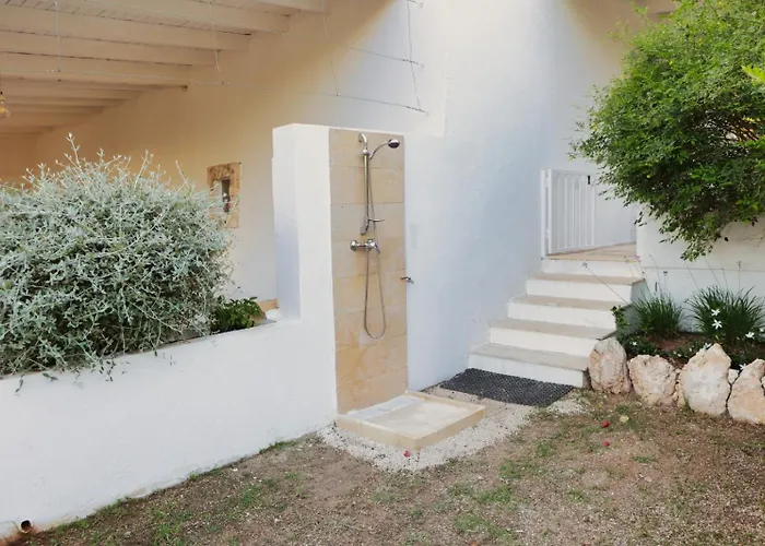 Irene לידו מריני